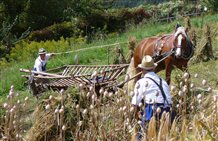 Carro della raccolta a Terento