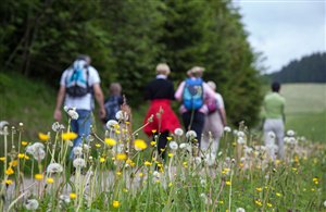 Escursioni nella natura
