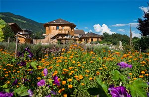 Distilleria di olio di pino mugo Bergila a Falzes