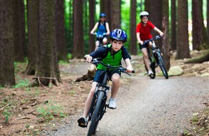 Percorso per mountain bike nella regione turistica Plan de Corones